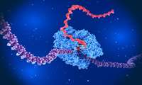 Experimental mRNA Vaccine Hints at Potential Against Glioblastoma