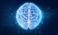 Eating Disorder Behaviors Alter Reward Response in the Brain